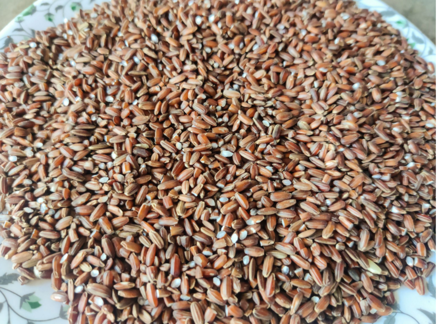 Grains of Pokalli Rice