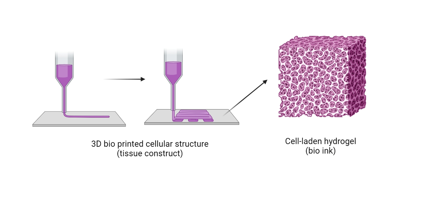 A schematic diagram of cell structure printing