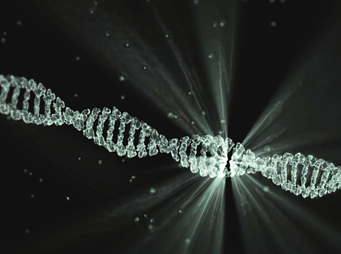 Light used to bend DNA